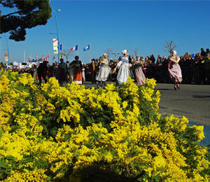 Mimosa Festival<br>Mandelieu<br>february 2020