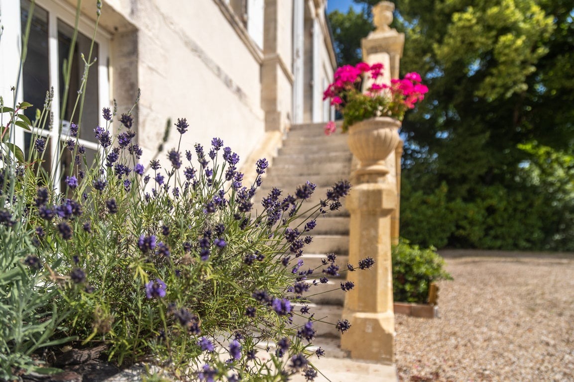 Bergerac, castle situated in the heart of the vineyards — photo 7 of 16
