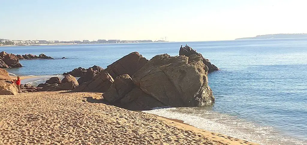 Explore Villas & Apartments for Sale in Cannes La Bocca – Personalized Real Estate Service