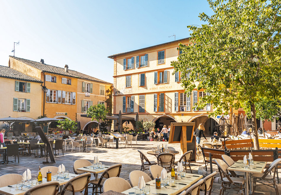 Villa and apartment for sale valbonne