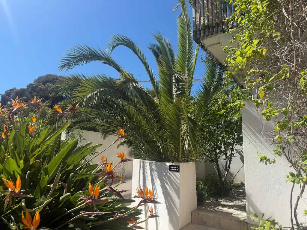 Prime Boutique Hotel Opportunity in Les Issambres — photo 7 of 7